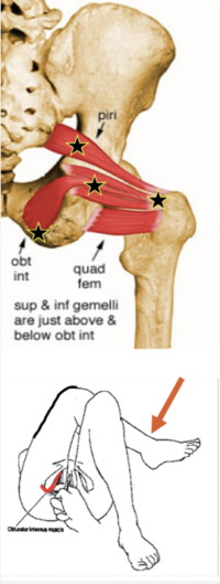 DOULEUR MYOFASCIALE 5