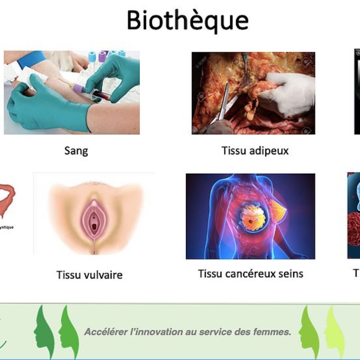 Une biothèque diversifiée au CRSF